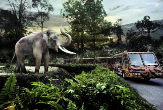 日间动物园/河川/夜间【小火车+含门票+专车接送+不拼车】【新加坡亲子游必打卡景点！中文司机，全程微信管家追踪服务，三大动物园随意组合！为您的旅途保驾护航！】