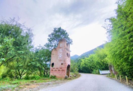 青龙山国家森林公园景点图片
