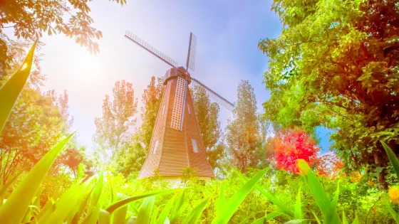 鄭州文博森林公園