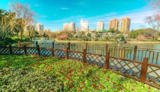 和平公园-上海-doris圈圈