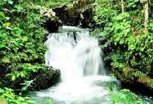 乌鲁庞森林保护区景点图片