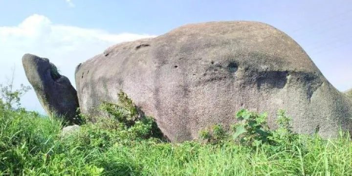 達蓬山仙佛谷景區-烏龜石