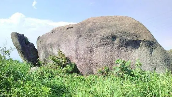 達蓬山仙佛谷景區-烏龜石