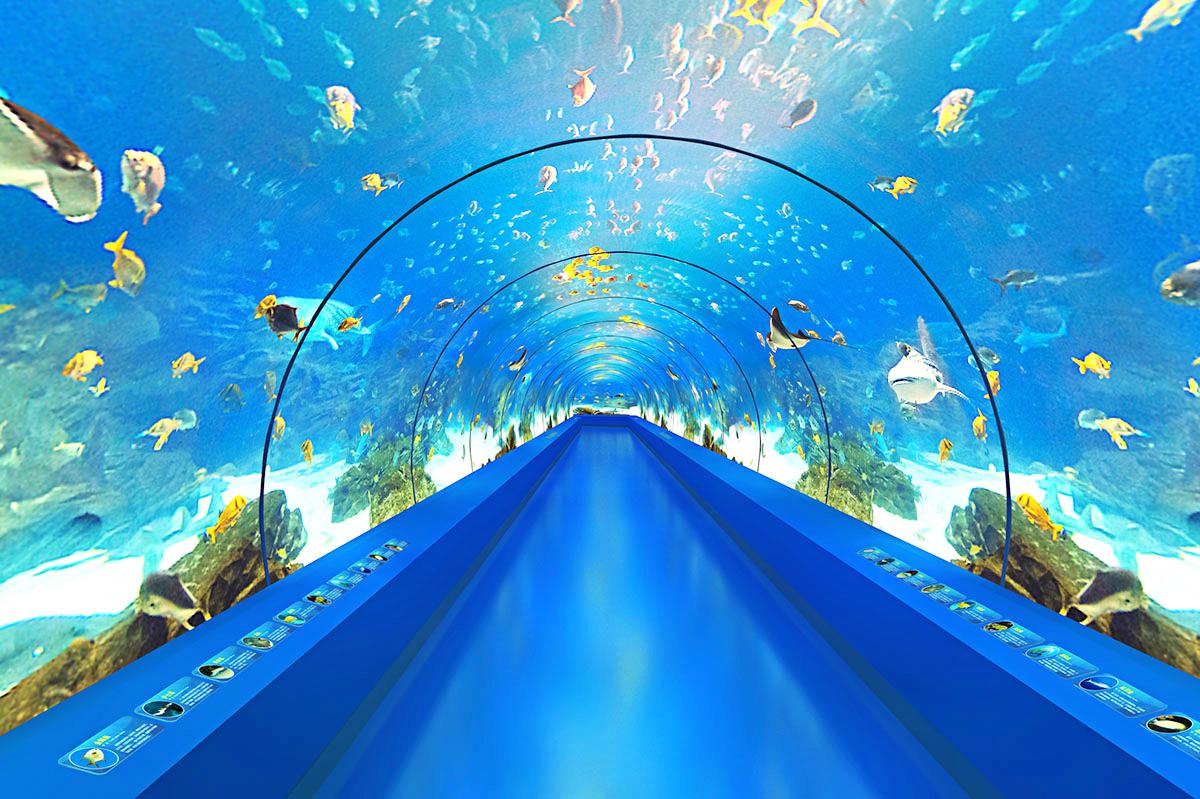 九丰极地海洋世界