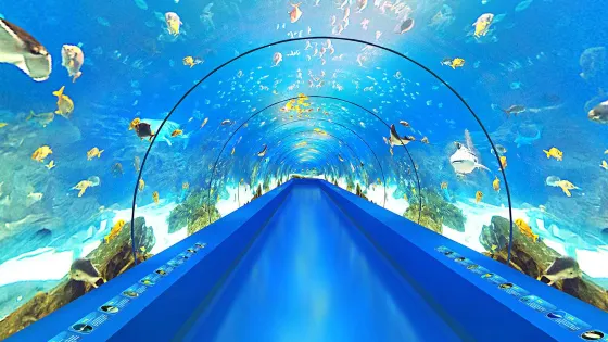 江西瑞金九豐極地海洋世界