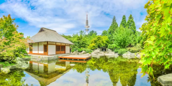 植物與花卉公園