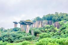 吼山-绍兴-doris圈圈