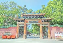 南山禅寺景点图片