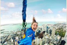 天空塔-奥克兰-图图2016