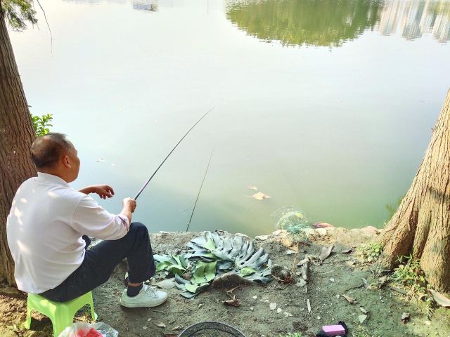 北滘公园旅行图片 11