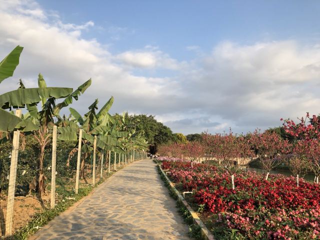 长春市百花园旅行图片 1