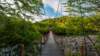 【最新攻略】四天带你游遍六安！看美景吃美食，此刻大别山正春意盎然