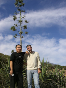 阿尔及利亚游记图文-永久的回忆（一）