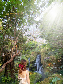 清迈游记图片] 若这个世上，真有爱丽丝的仙境，那一定在清迈