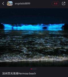 何尔摩沙海滩游记图文-来自海洋的“灯光秀”--Hermosa Beach荧光海浪