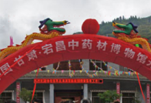 中国甘肃宕昌中药材博物馆景点图片