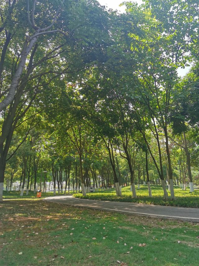 后襄河公园旅行图片 5