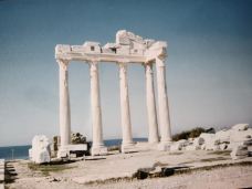 阿波罗和雅典娜神殿-西代
