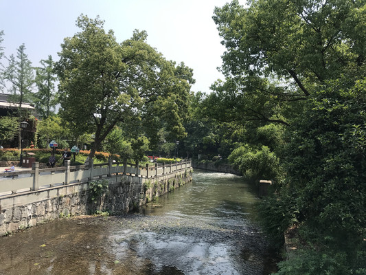 两日杭州青芝坞的静谧时光