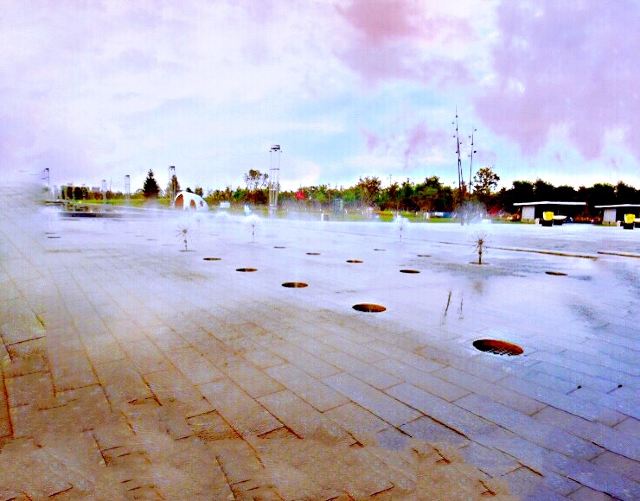 浑南新城中央公园旅行图片 6