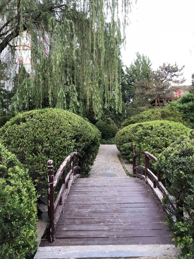 双秀公园旅行图片 3