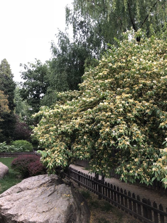 双秀公园旅行图片 4