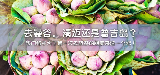 去曼谷、清迈还是普吉岛？热门帖子为了第一次去旅游的朋友来选一个吧！