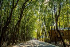 同里古镇-苏州-先生你好啊2008