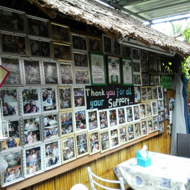 Jungle Kitchen