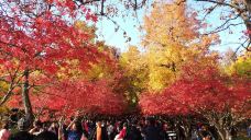 林州天平山风景区-林州-貓貓達