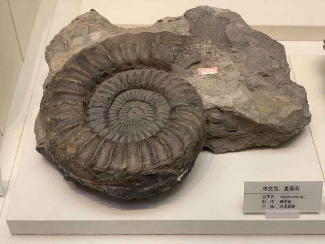 Tianjin Natural History Museum