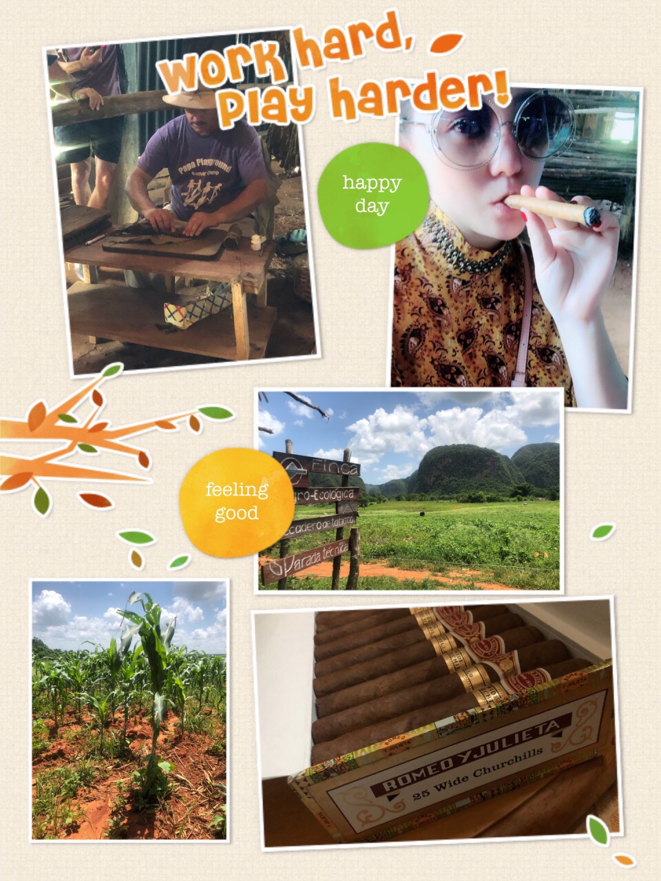 #激情一夏#水菱环球之旅の一支古巴🇨🇺雪茄