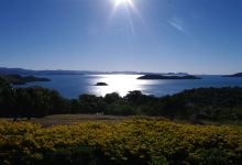 汉密尔顿岛免费巴士景点图片