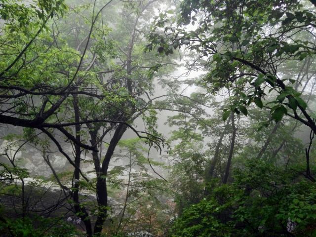 Baishishan World Geopark