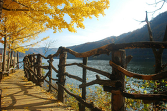 韩国游记图片] 韩国首尔4日3晚半自助游游记