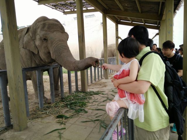 Beijing Zoo