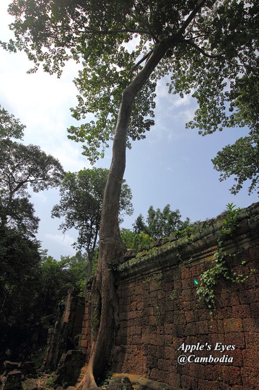Preah Khan