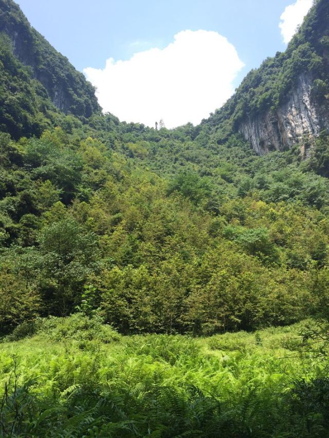 武隆天生三橋