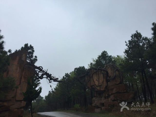 白鷺島生態旅遊區