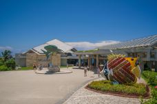 冲绳美丽海水族馆-本部町-doris圈圈