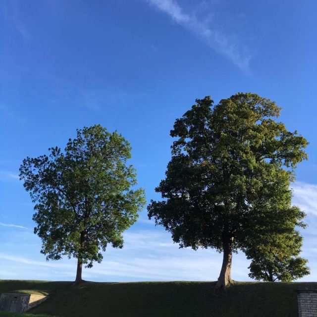 Kastellet