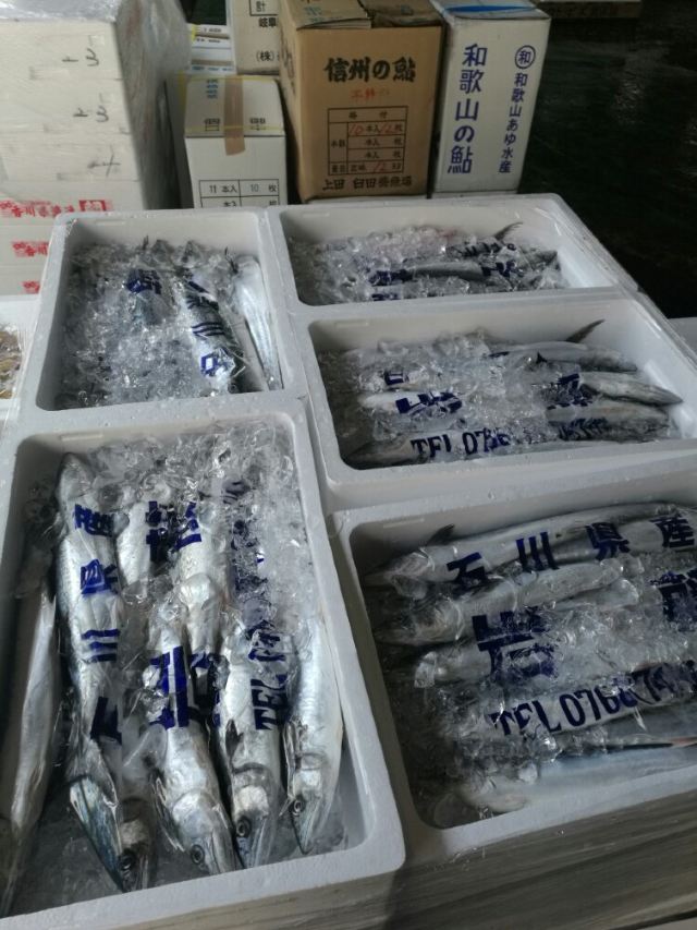 츠키지 수산시장
