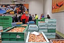 鱼市教堂-哥德堡-贝塔桑