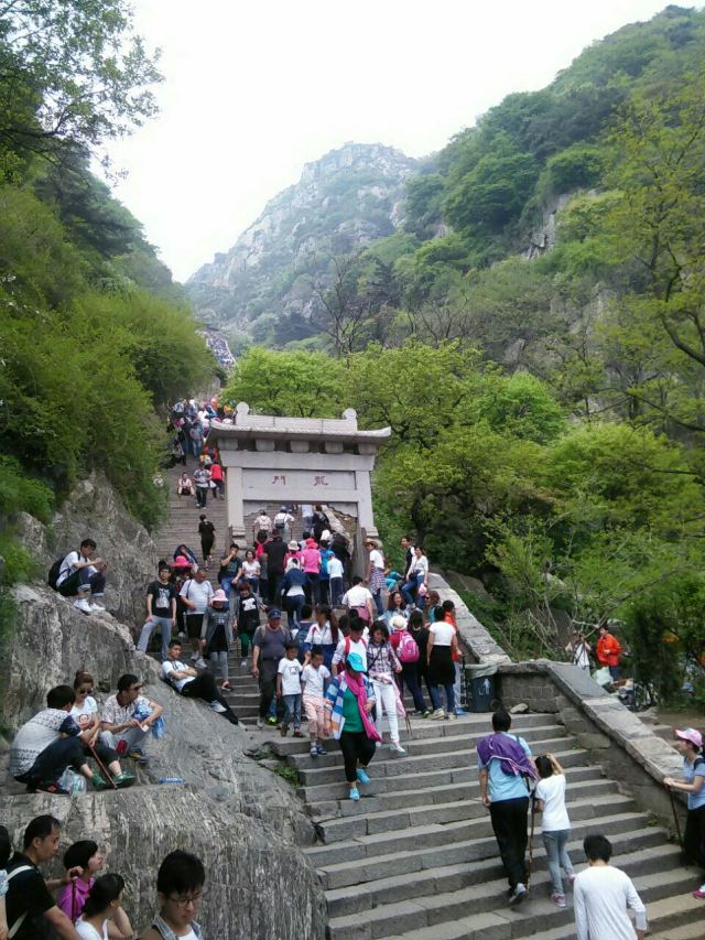 18판