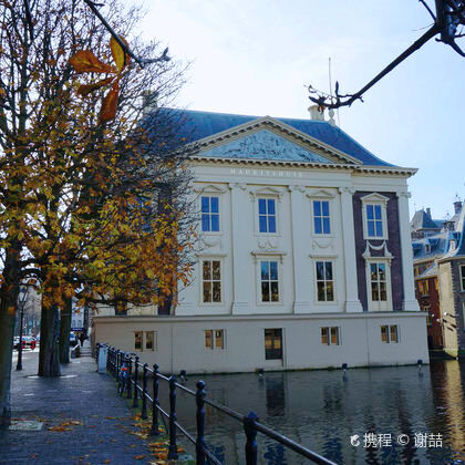 荷兰莫瑞泰斯皇家美术馆+海牙广场+海牙历史博物馆一日游