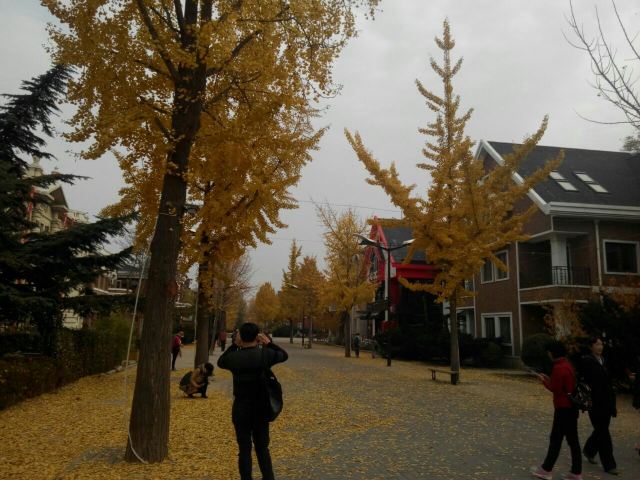 난산 관광거리