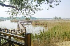野鸭湖国家湿地公园-北京-doris圈圈
