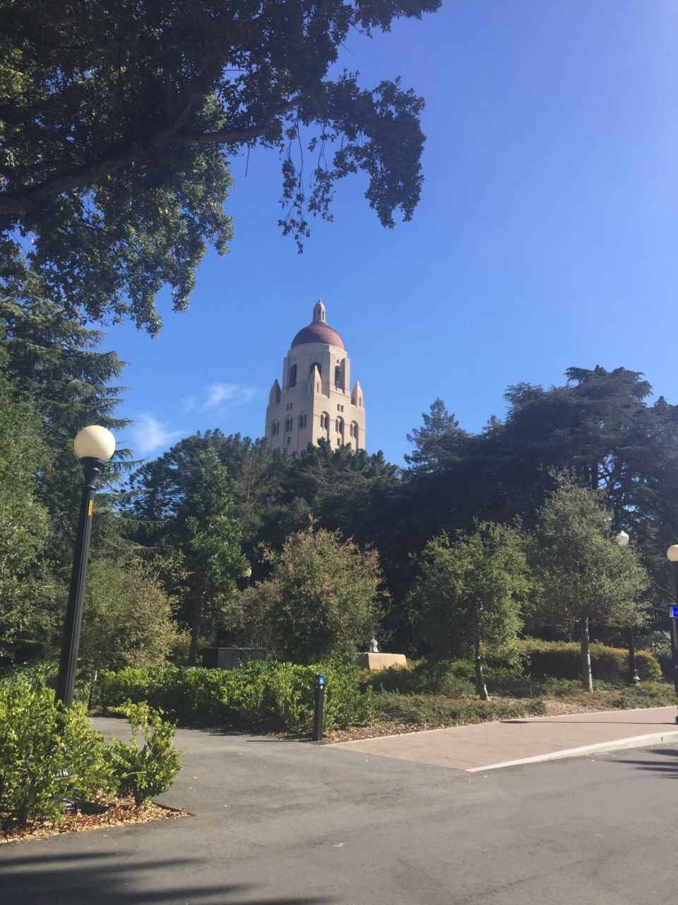 斯坦福大学