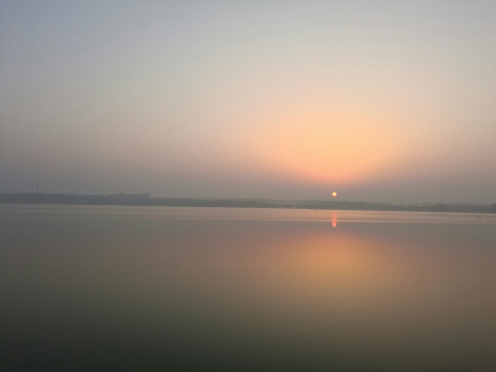 莫愁湖之晨