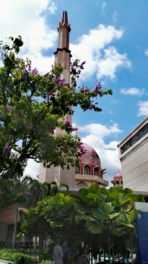 漂亮精致的粉红清真寺